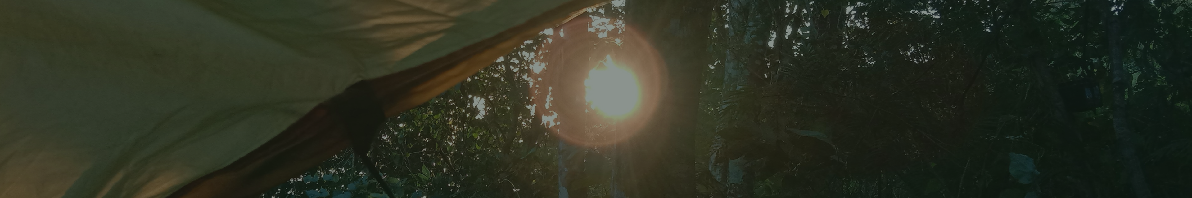 Blogs banner