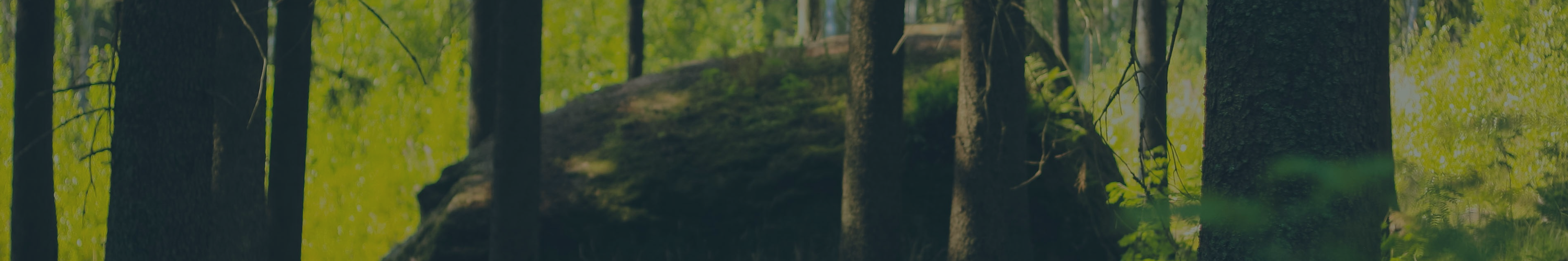 FAQs banner